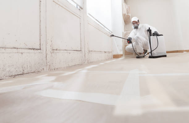 24/7 Emergency Basement Mold Remediation experts in Union Pier, MI
