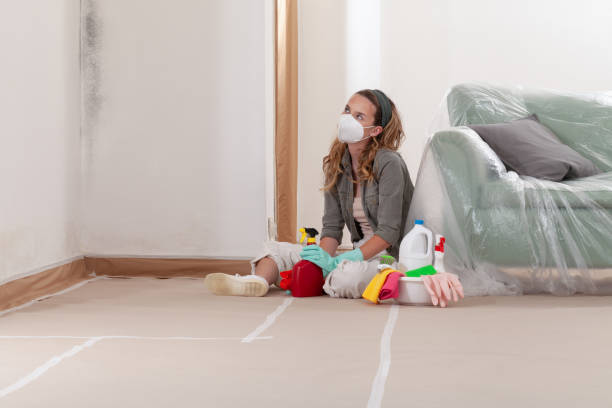 Reliable Basement Mold Remediation contractor in Union Pier, MI by WQB Mold Removal